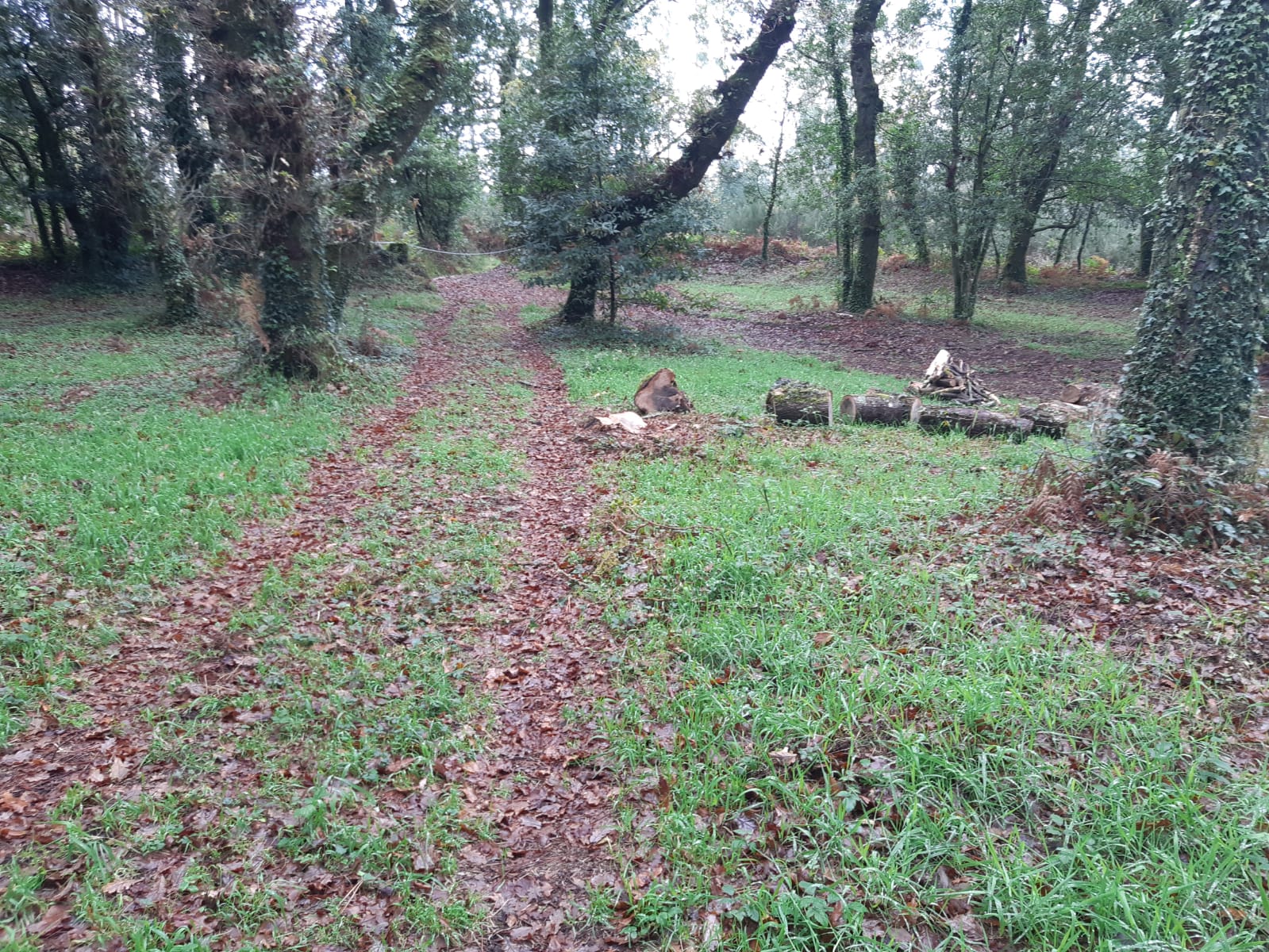 Camino del descanso eterno, reflexión sobre la muerte y el lugar del descanso final.
