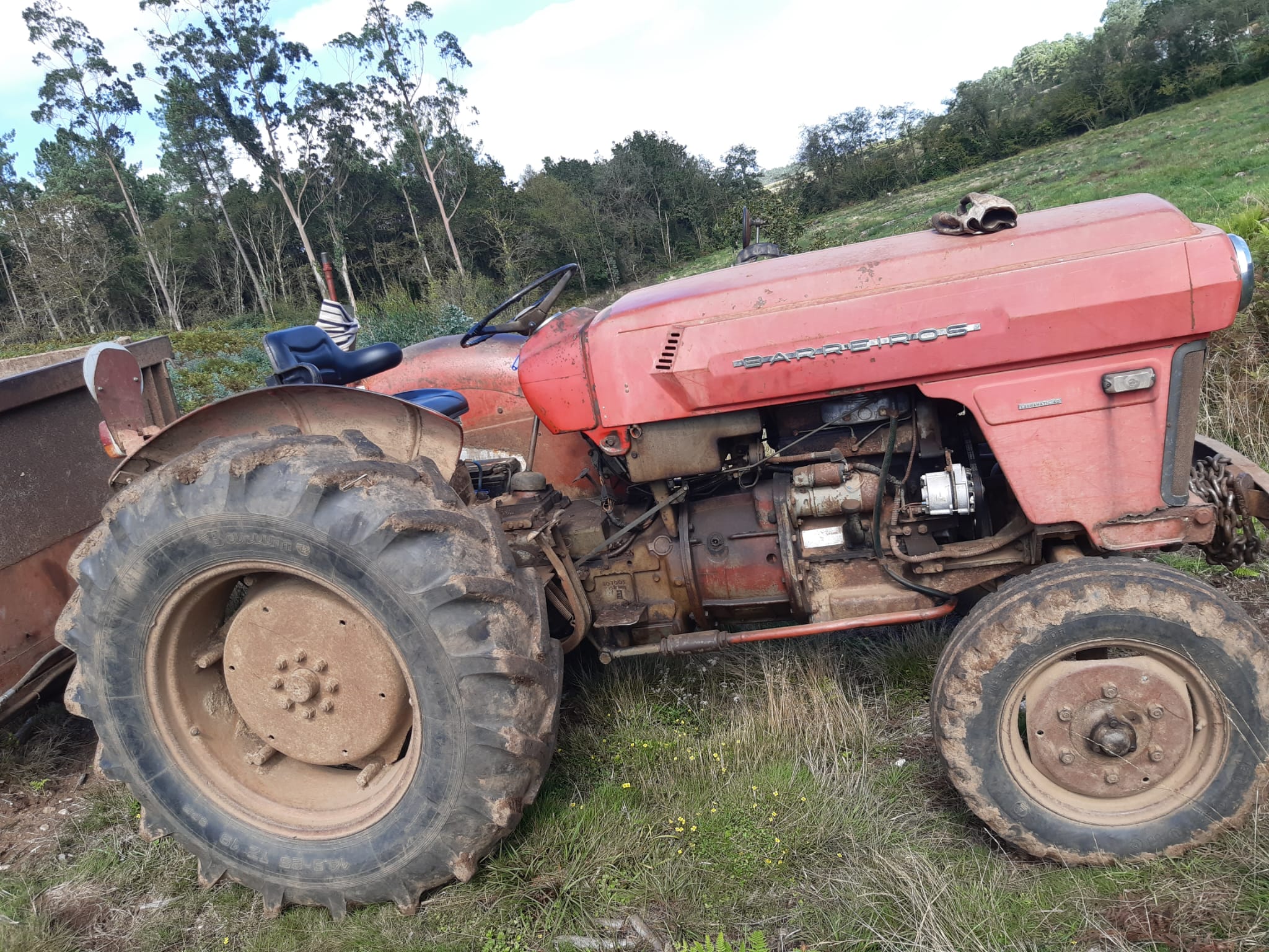Un tractor antiguo en un entorno rural, símbolo de compañerismo y trabajo en la naturaleza.